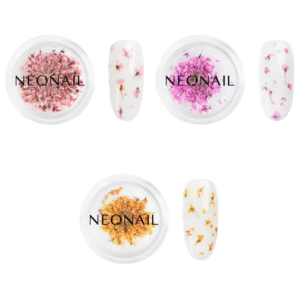 n-onail-nail-art-flowers-set-trockenblumen-f-r-nageldesign-3-farben-rosa-lila-or image 1