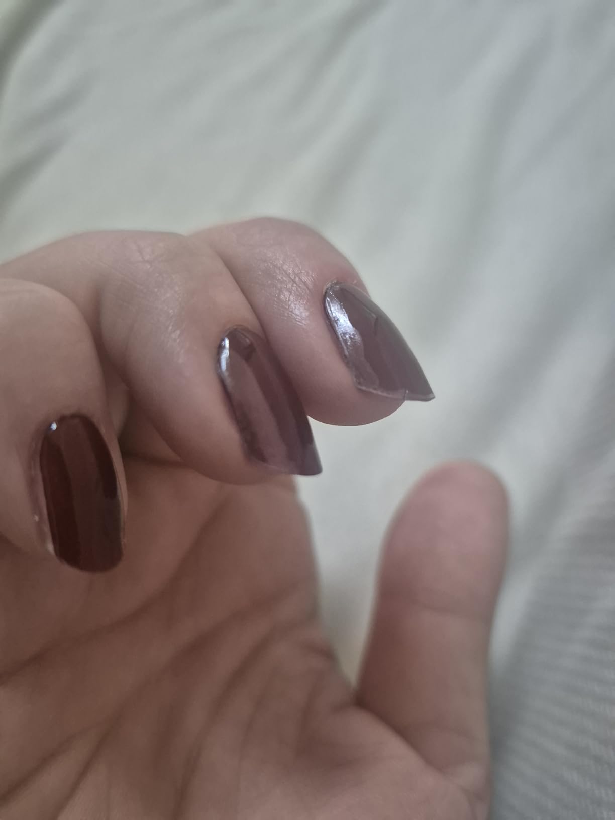 Lange Haltbarkeit, schöne Farbe