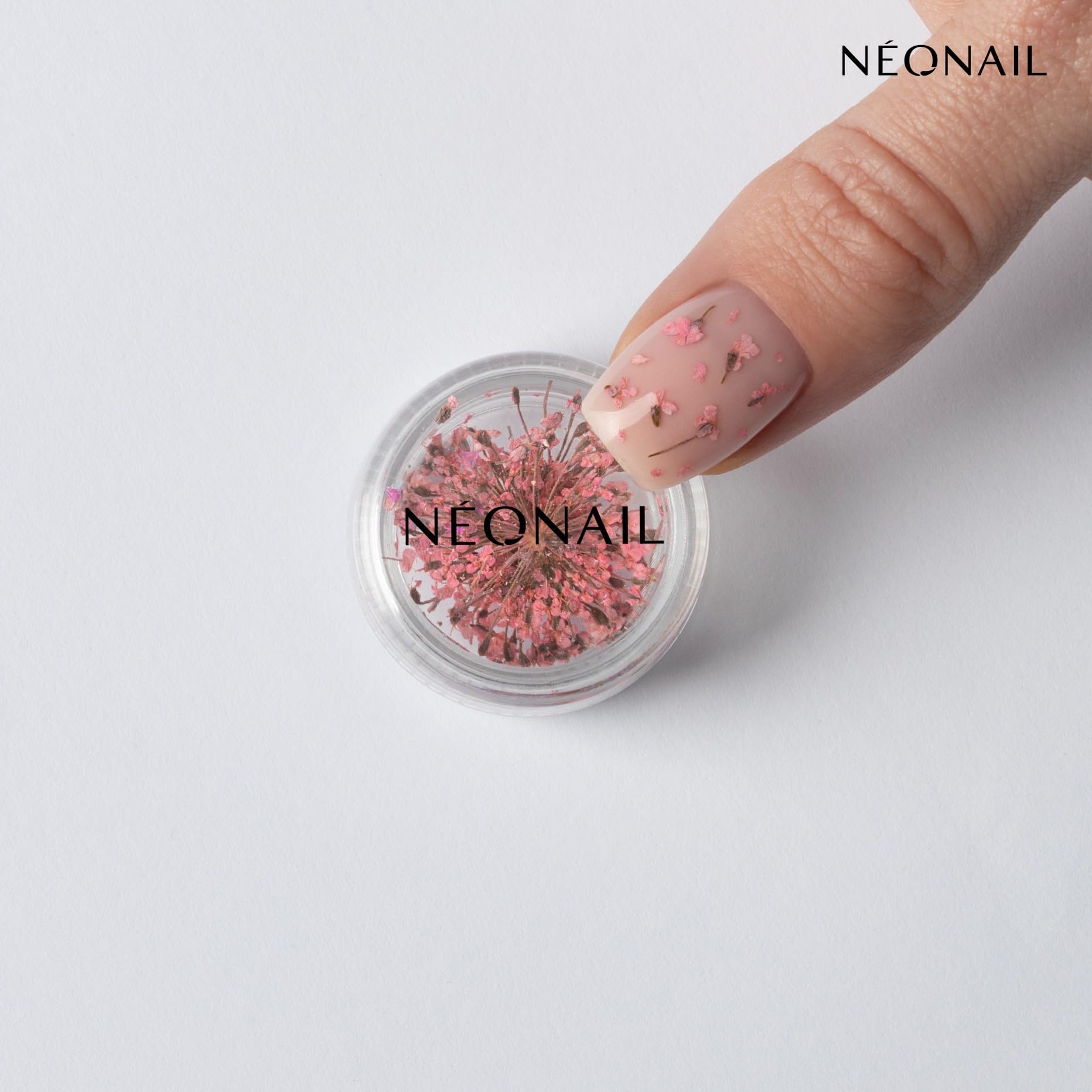 n-onail-nail-art-flowers-set-trockenblumen-f-r-nageldesign-3-farben-rosa-lila-or image 2