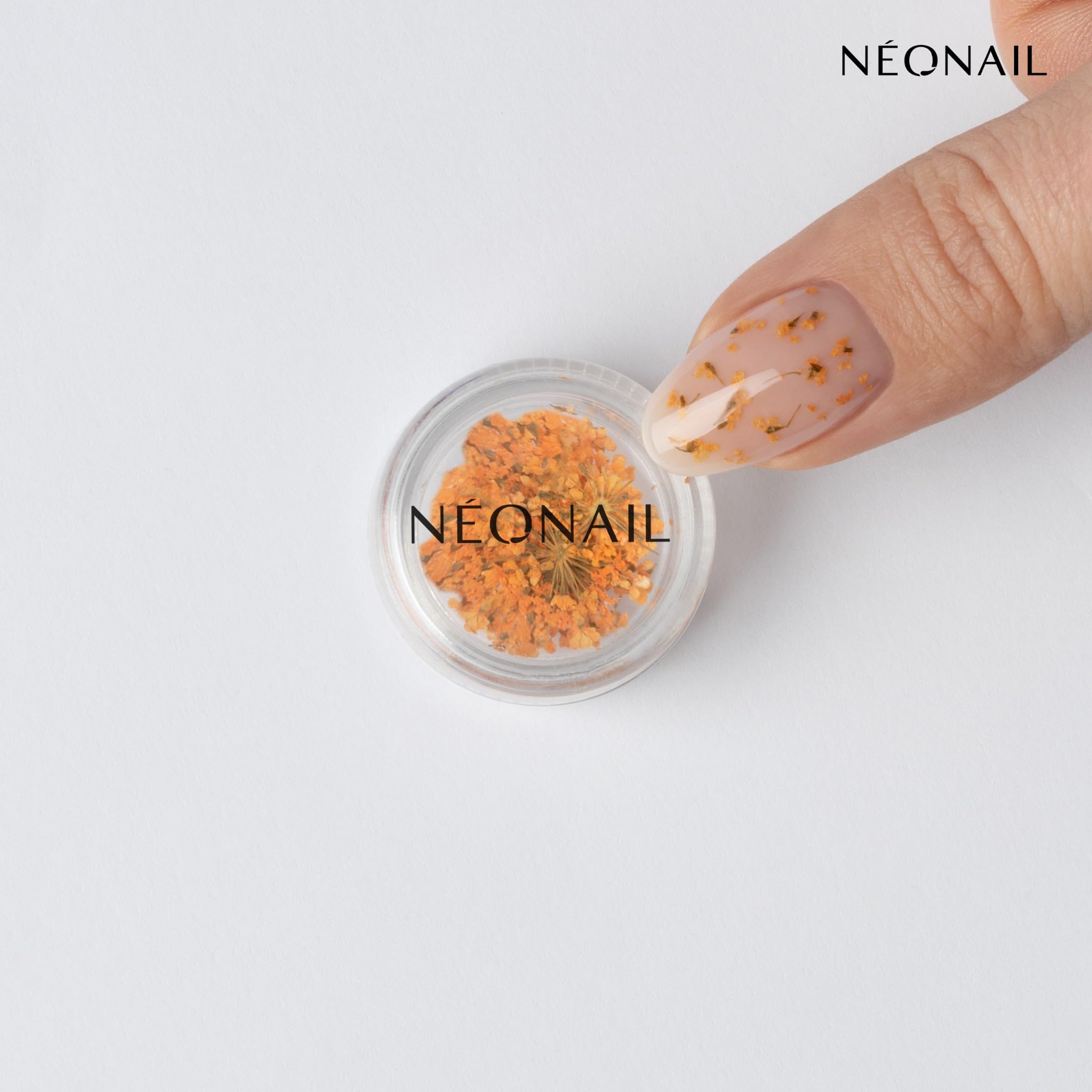 n-onail-nail-art-flowers-set-trockenblumen-f-r-nageldesign-3-farben-rosa-lila-or image 3